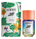 LOEWE - Paula's Ibiza ECLECTIC EDT - 50ml